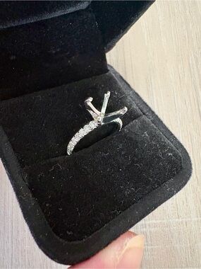 Blue Nile French Pave 1/4 Ct. Platinum and Diamond Engagement Ring Setting